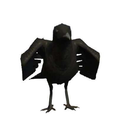 Corvo