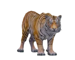 Rajah