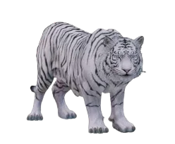 Tigor